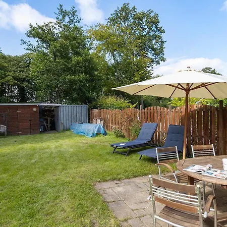 In With Wifi 哈泽斯莱乌